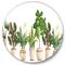 Designart - Trio of Houseplants Sanseviera Snake Plant - Farmhouse Metal Circle Wall Art